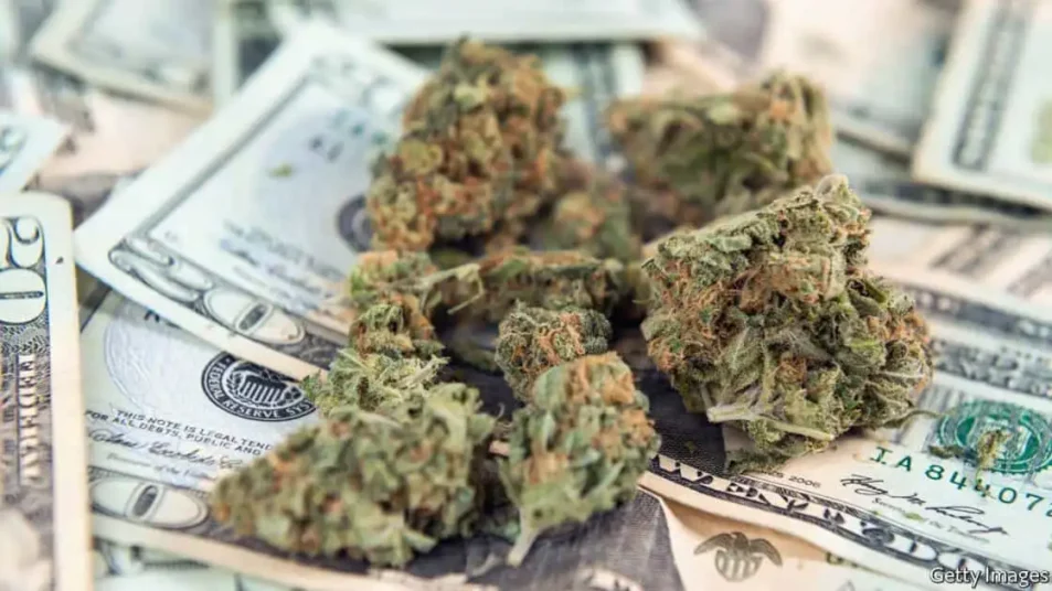 Marijuana Question Survives as all Nine Ballot Questions Get their Numbers